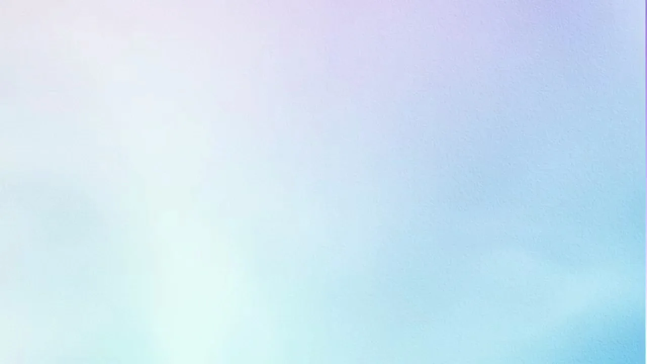 Vidfly video 1